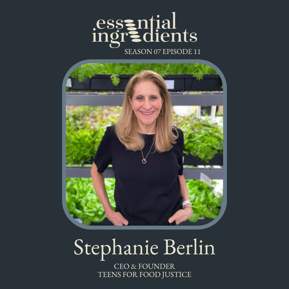 Katherine Soll, Essential Ingredients S7 · E11